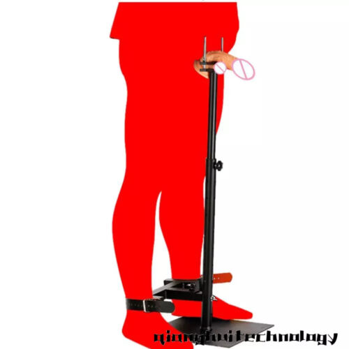 Couple Obedient Training Chair Queen Tools Outdoor Garden Chair Furniture