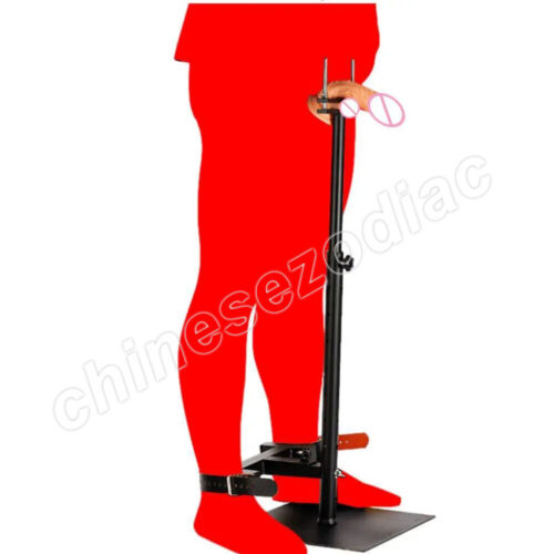 Couple Obedient Training Chair Queen Tools Outdoor Garden Chair Furniture